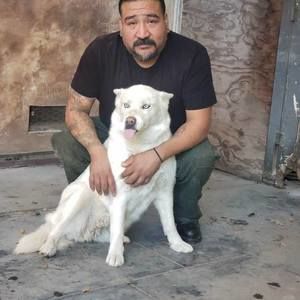 Meet your Posher, Humberto